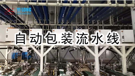 【整線(xiàn)系列1】自動(dòng)包裝流水線(xiàn)